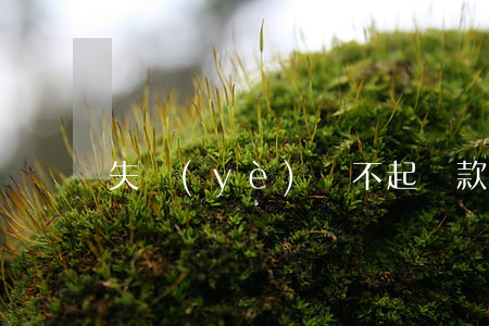失業(yè)還不起貸款
