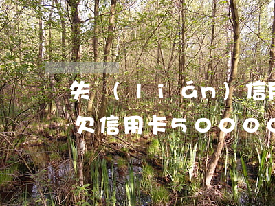 失聯(lián)信用卡4000逾期3月(欠信用卡50000逾期4個(gè)月)