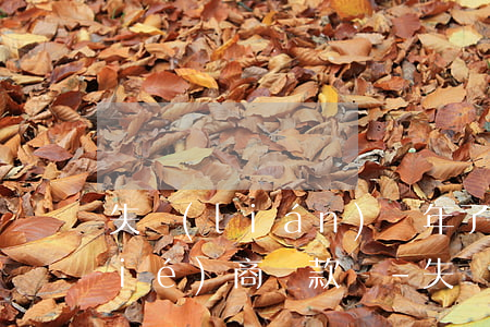 失聯(lián)幾年了還能跟銀行協(xié)商還款嗎-失聯(lián)幾年了還能跟銀行協(xié)商還款嗎知乎