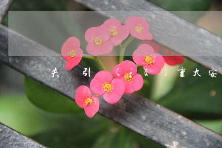 失職引發(fā)重大安全事故怎么處罰