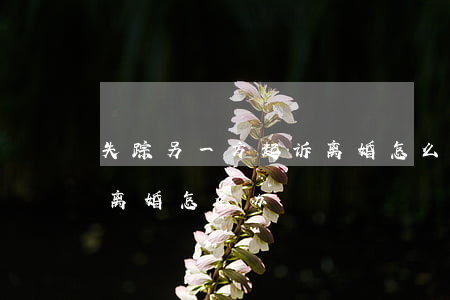 失踪另一方起诉离婚怎么办(失踪另一方起诉离婚怎么办)