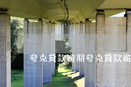 夸克貸款逾期(夸克貸款逾期)