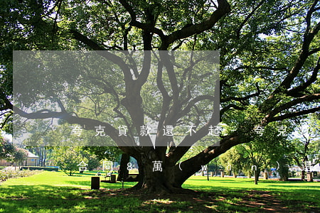 夸克貸款還不起-夸克貸款5萬(wàn),合同8萬(wàn),還款9萬(wàn)多,合法嗎