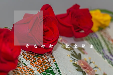 夸克金融貸款逾期未還