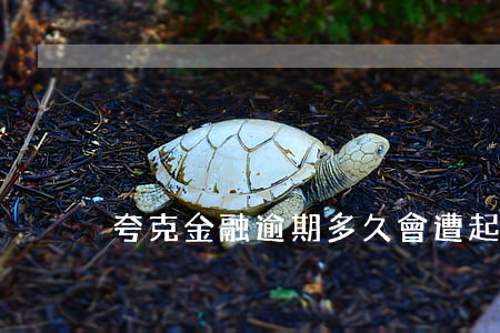 夸克金融逾期多久會遭起訴