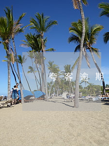 夸客逾期一年可以協(xié)商還款嗎