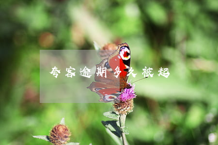 夸客逾期多久被起訴