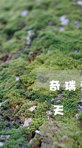 奇瑞汽車金融貸款逾期(奇瑞金融車貸逾期幾天會(huì)要求一次性結(jié)清)