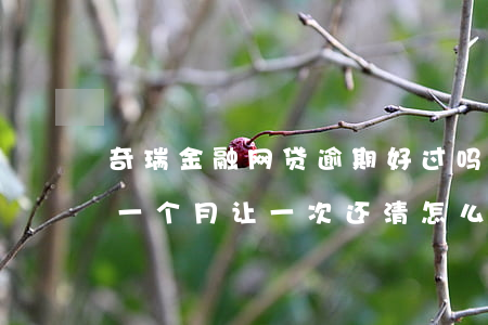 奇瑞金融网贷逾期好过吗(奇瑞金融车贷逾期一个月让一次还清怎么办)