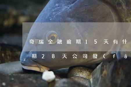 奇瑞金融逾期15天有什么影響(奇瑞金融逾期28天,公司發(fā)信息給我說連帶責任)