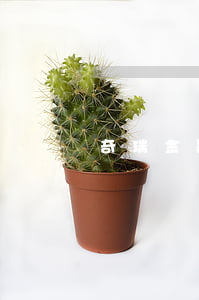 奇瑞金融還款逾期15天