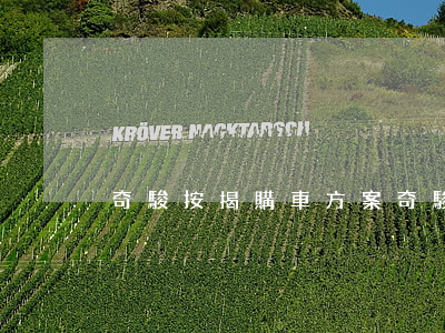 奇駿按揭購車方案（奇駿分期免息嗎）