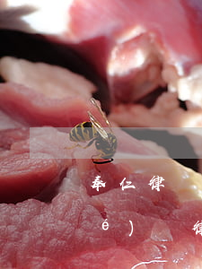 奉仁律師事務(wù)所怎么樣(奉節(jié)縣律師事務(wù)所哪家最好)