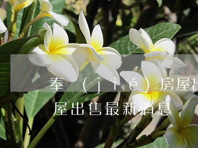 奉節(jié)房屋出租(奉節(jié)房屋出售最新消息)