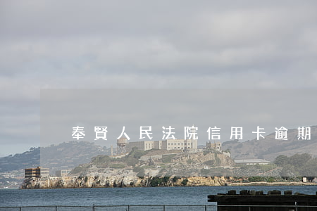奉賢人民法院信用卡逾期案例