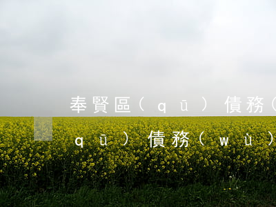 奉賢區(qū)債務(wù)律師(奉賢區(qū)債務(wù)律師電話)