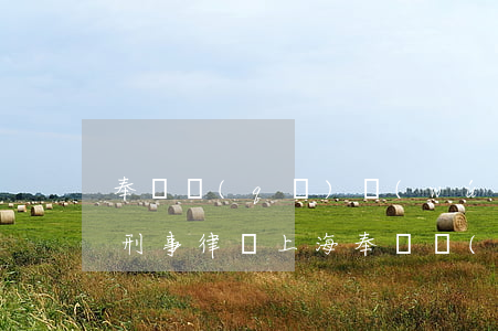 奉賢區(qū)無(wú)罪辯護(hù)刑事律師(上海奉賢區(qū)律師咨詢(xún))