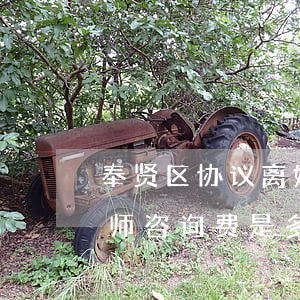 奉贤区协议离婚律师需要多少钱(上海离婚律师咨询费是多少)