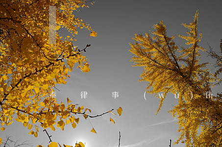 奉長律師事務(wù)所怎么樣