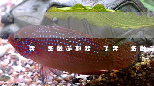奔馳金融逾期起訴了(奔馳金融逾期幾個小時)