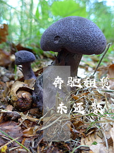奔驰租赁逾期多久之内没事-奔驰租赁到期未还款