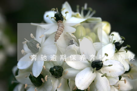奔驰逾期保养 奔驰延期保养