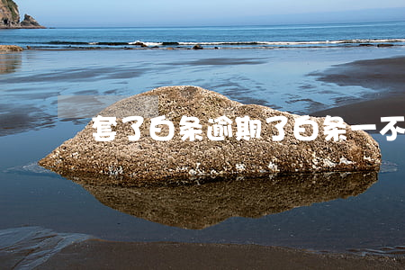 套了白条逾期了(白条一不小心逾期)