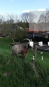 套信用卡不給錢(qián)找誰(shuí)報(bào)警（套信用卡錢(qián)治病還不起）