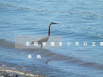 套现被骗多少可以立案(套现诈骗的钱能追回来吗?)