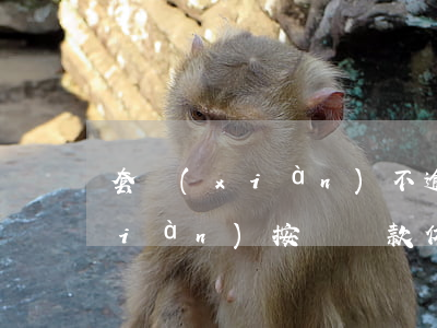 套現(xiàn)不逾期還款違法(套現(xiàn)按時還款依然被判刑)