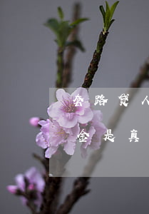 套路贷人员说只还本金(套路贷人员说只还本金是真的吗)