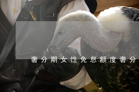 奢分期女性免息额度(奢分期app官方下载)