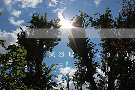 奧園美谷理財(cái)逾期-奧園美谷理財(cái)逾期會(huì)怎么樣