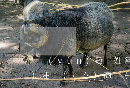 奧運(yùn)冠軍姓名被申請(qǐng)注冊(cè)商標(biāo)?