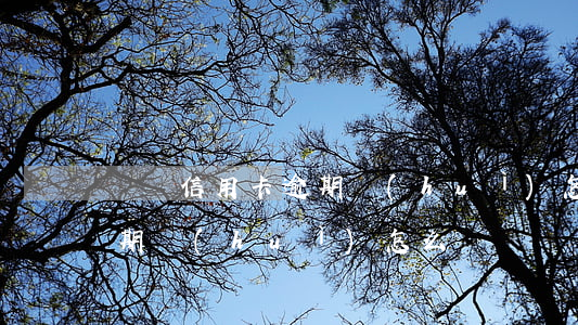 奧飛信用卡逾期會(huì)怎樣 信用飛逾期會(huì)怎么樣