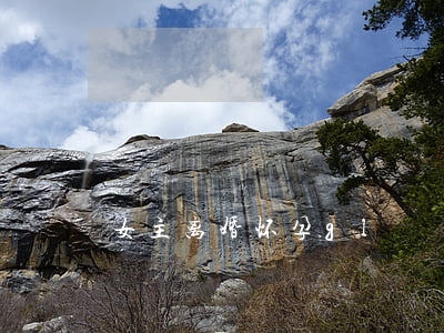 女主离婚怀孕gl