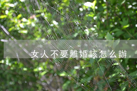 女人不要離婚該怎么辦