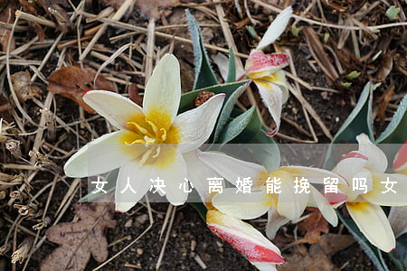 女人决心离婚能挽留吗(女人要离婚的决心)
