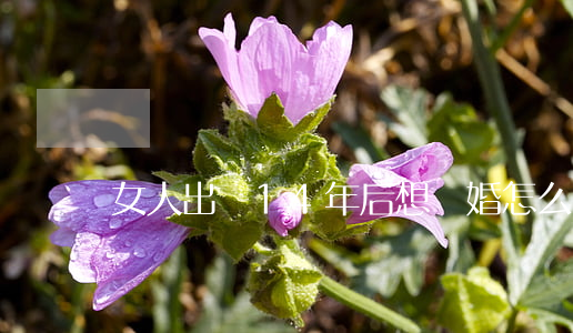 女人出軌14年后想離婚怎么辦