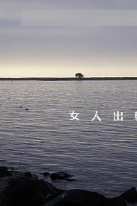 女人出軌想離婚