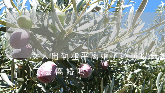 女人出轨和平离婚了还可以告她吗(女人出轨了会离婚吗)