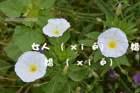 女人協(xié)議離婚忌諱(有利于女方的離婚協(xié)議)