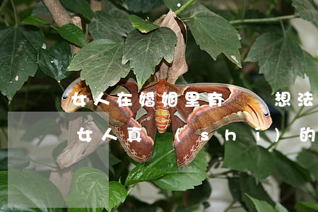 女人在婚姻里有這種想法都離婚了(離婚后的女人真實(shí)的想法)