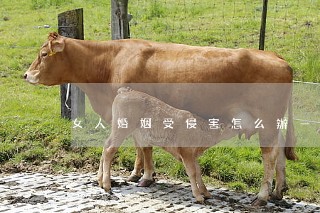 女人婚姻受侵害怎么辦——請拿起法律武器