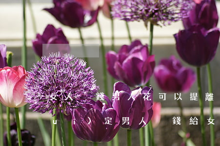 女人掙錢男人花可以提離婚嗎(法律有規(guī)定男人掙錢給女人花)