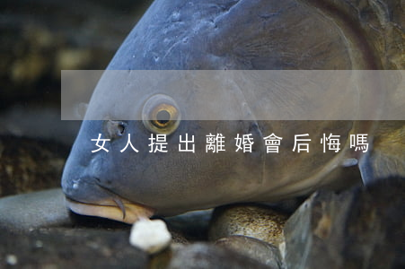 女人提出離婚會后悔嗎