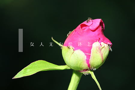 女人无力偿还怎么办