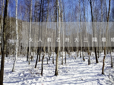 女人有乙肝大三陽離婚后怎么辦(我老公有乙肝小三陽我該怎么辦?要離婚嗎?)
