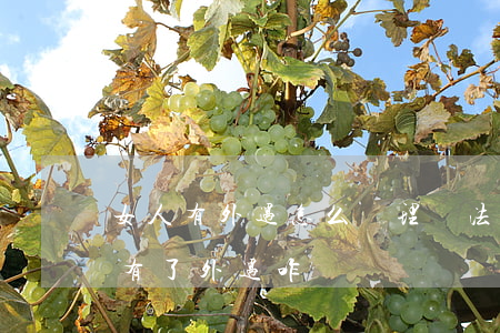 女人有外遇怎么處理辦法(一個(gè)女人有了外遇咋辦)