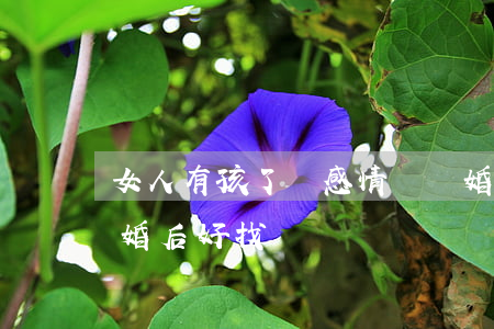 女人有孩了沒感情該離婚嗎(女人沒有孩子離婚后好找嗎)